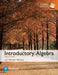 Video Workbook for Introductory Algebra by Margaret Lial, John Hornsby, Terry McGinnis