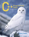 C++ Programming Today by Barbara Johnston