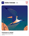 Adobe Animate Classroom in a Book (2021 Release) by Russell Chun