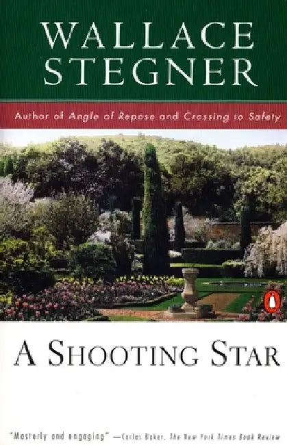A Shooting Star by Wallace Stegner