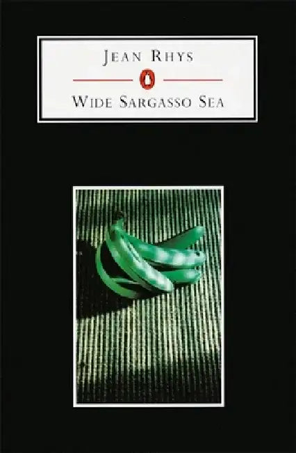 Wide Sargasso Sea by Danielle N. (Associate Professor of Africana Studies, Associate Professor of Africana Studies, University of North Carolina at Charlotte) Boaz