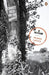 In Cold Blood: A True Account of a Multiple Murder And Its Consequences by Truman Capote