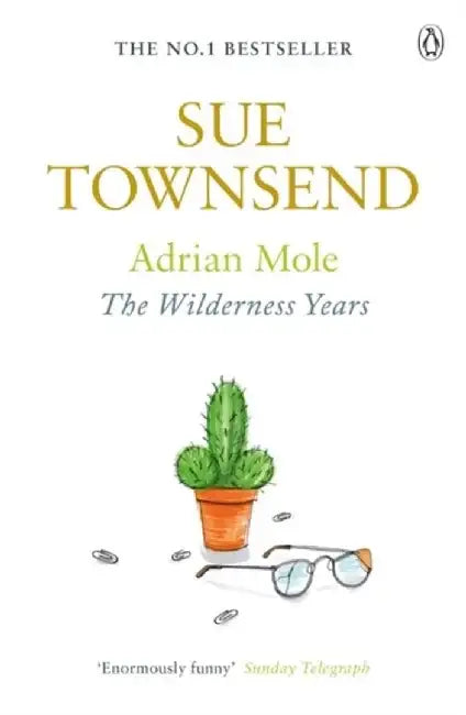 Adrian Mole: The Wilderness Years by Sue Townsend