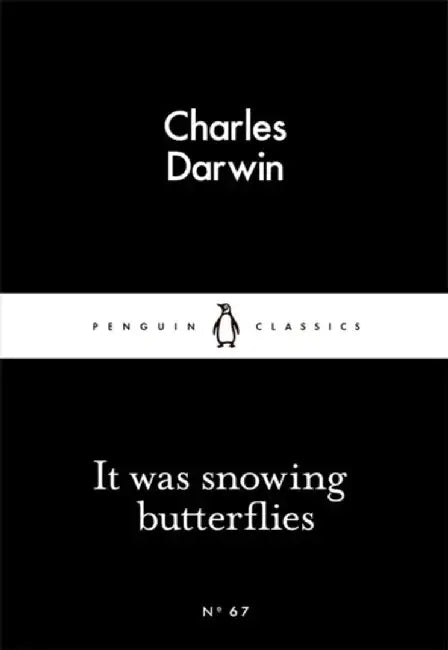 It Was Snowing Butterflies by Andrew T. McCarthy