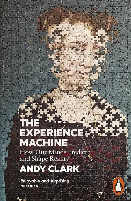The Experience Machine by Andy Clark