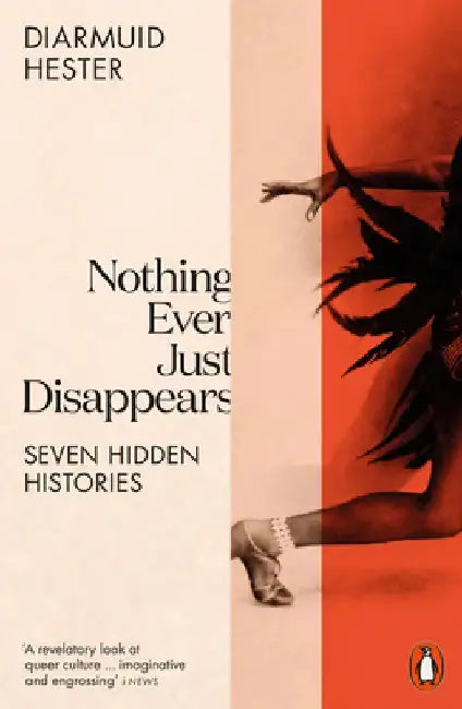 Nothing Ever Just Disappears by Diarmuid Hester