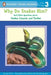 Why Do Snakes Hiss?: And Other Questions about Snakes, Lizards, and Turtles by Joan Holub