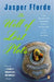 The Well of Lost Plots by Jasper Fforde