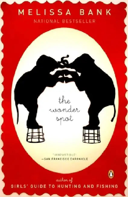 The Wonder Spot by Melissa Bank