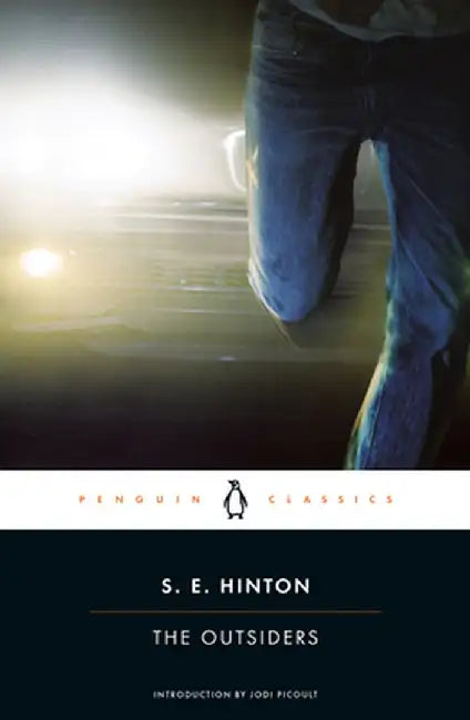 The Outsiders: by S. E. Hinton