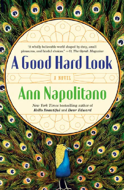 A Good Hard Look by Napolitano, Ann