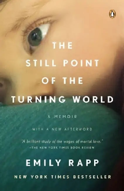 The Still Point of the Turning World by Emily Rapp Black