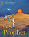 In Search of the Prophet by Shahrukh Husain