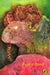 Rusty the Leopard by Ruskin Bond