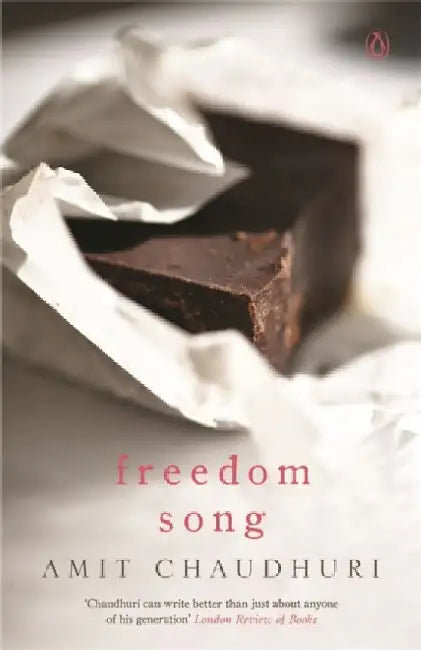 Freedom Song by Amit Chaudhuri
