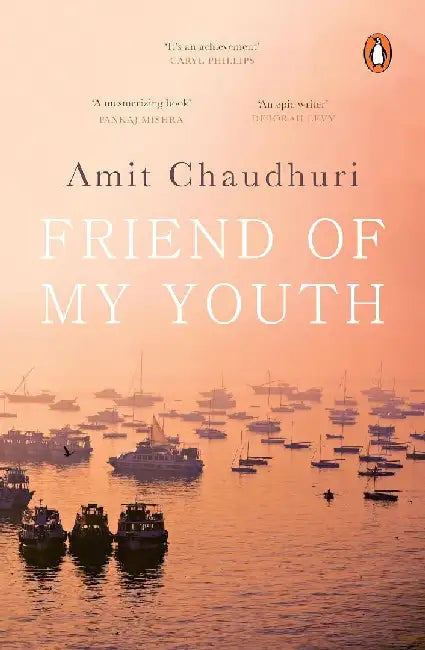 Friend Of My Youth by Amit Chaudhuri