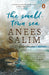 The Smalltown Sea by Anees Salim