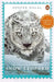 Snow Leopard Adventure by Dalal Deepak