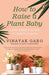How to Raise a Plant Baby: A Beginner's Guide to Happy Plants by Vinayak Garg