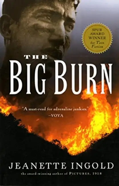 The Big Burn by Jeanette Ingold