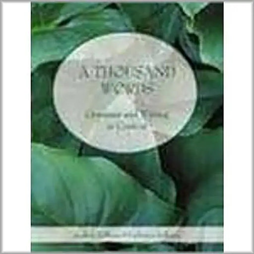A Thousand Words: Grammar and Writing in Context by Andrew J. Hoffman, Catherine A. Hoffman