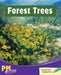 Forest Trees by Sally Cowan
