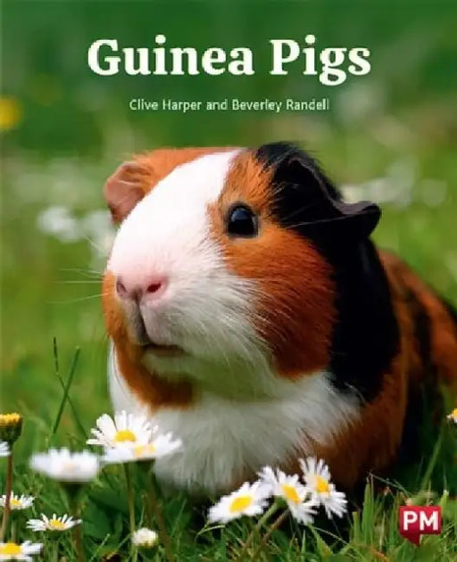GUINEA PIGS by CLIVE HARPER