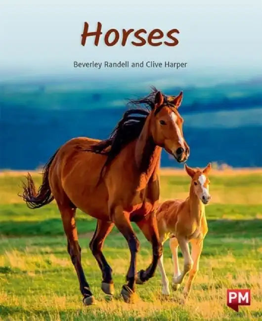 HORSES by BEVERLEY RANDELL