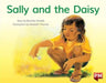 PM RED SALLY & THE DAISY PM STORYBOOKS L