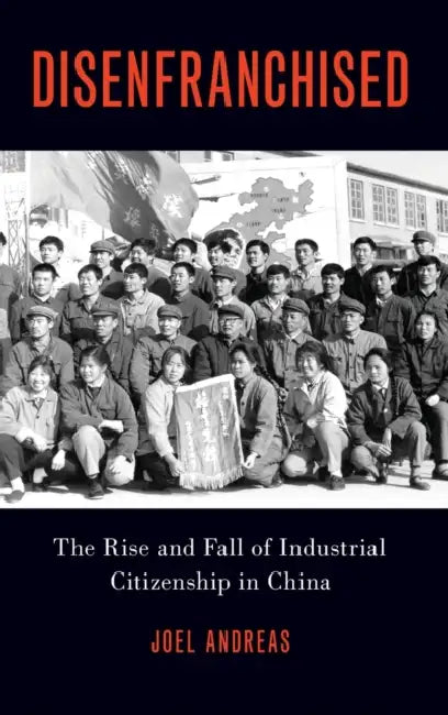 Disenfranchised: The Rise and Fall of Industrial Citizenship in China by Joel Andreas