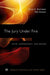 Jury Under Fire: Myth, Controversy, and Reform by Brian H. Bornstein, Edie Greene