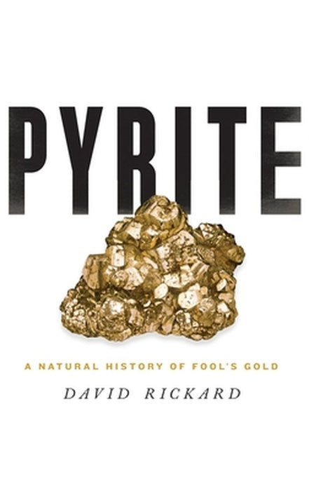 Pyrite : A Natural History of Fool's Gold by Rickard, Rickard