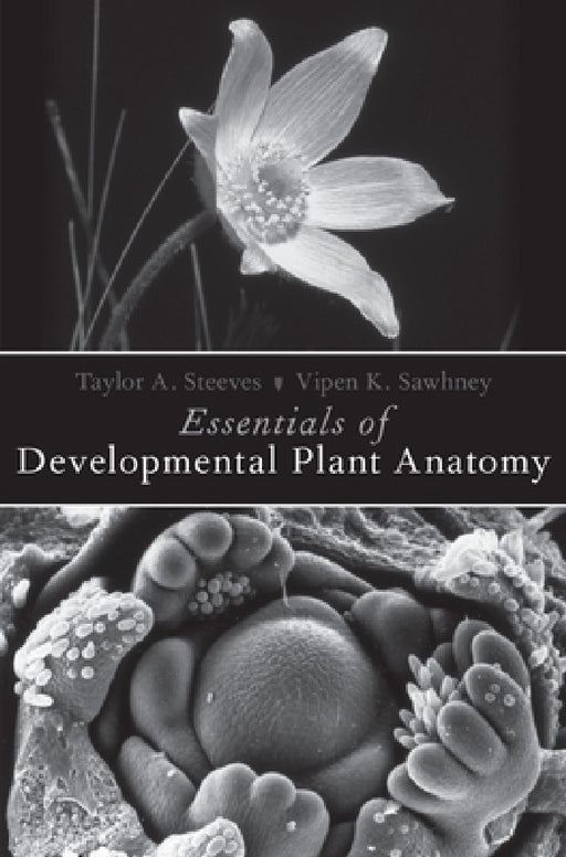Essentials of Developmental Plant Anatomy by Taylor A. Steeves, Vipen K. Sawhney