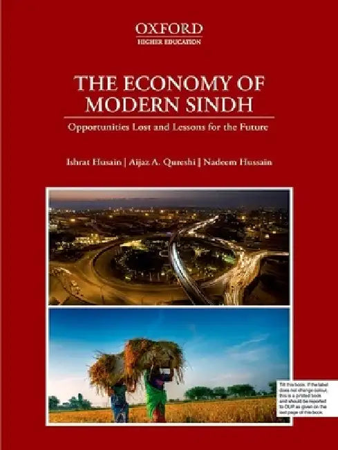 The Economy of Modern Sindh: Opportunities Lost and Lessons for the Future by Ishrat Husain, Aijaz A. Qureshi, Nadeem Hussain