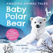Amazing Animal Tales: Baby Polar Bear by Anne Rooney