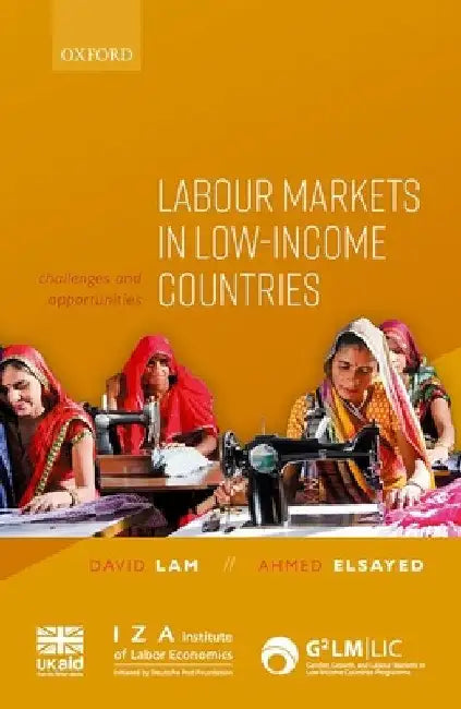 Labour Markets in Low-Income Countries: Challenges and Opportunities by David Lam