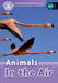 Read and Discover Level 3 Animals in the Air by Robert Quinn