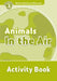 Read and Discover Level 3 Animals in the Air Activity Book by Robert Quinn