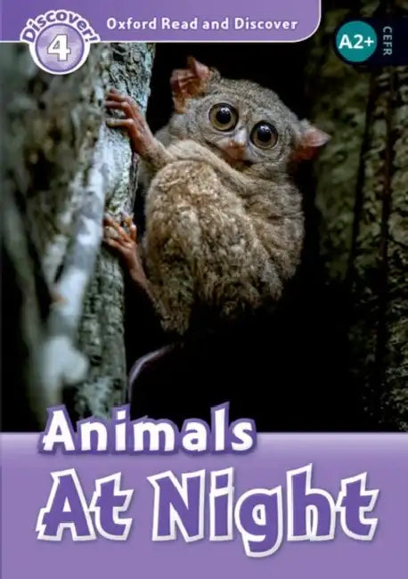Read and Discover Level 4 Animals at Night by Rachel Bladon