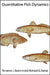 Quantitative Fish Dynamics by Terrance J. Quinn, Richard B. Deriso