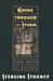 Going Through the Storm: The Influence of African American Art in History by Sterling Stuckey