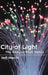 City of Light: The Story of Fiber Optics by Jeff Hecht