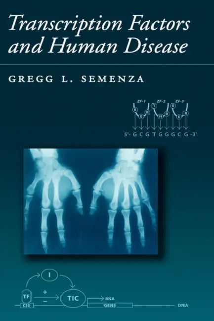 Transcription Factors and Human Genetic Disease by Gregg Semenza