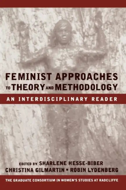 Feminist Approaches to Theory and Methodology: An Interdisciplinary Reader by Sharlene Hesse-Biber, Christina Gilmartin, Robin Lydenberg