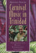 Carnival Music in Trinidad: Experiencing Music, Expressing Culture [With CD] by Shannon Dudley