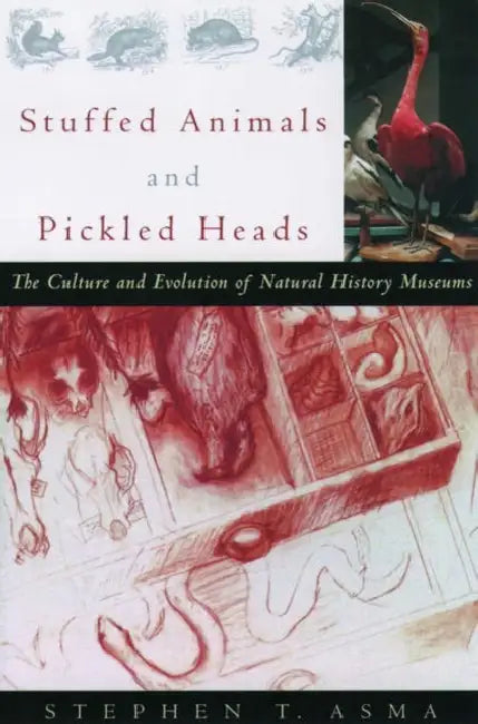 Stuffed Animals and Pickled Heads: The Culture and Evolution of Natural History Museums by Stephen T. Asma