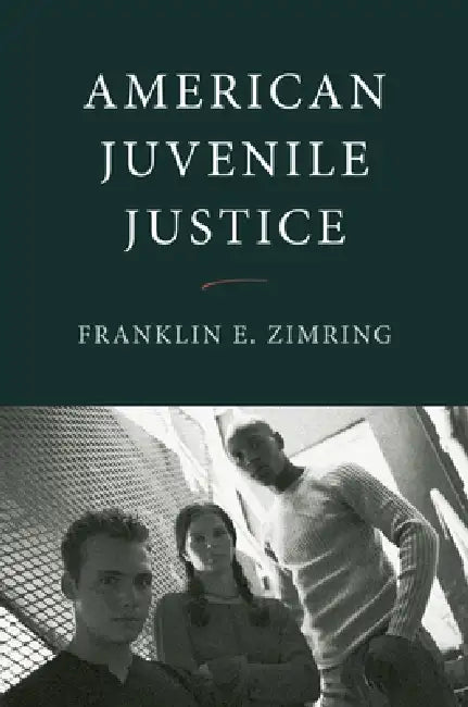American Juvenile Justice by Franklin E. Zimring
