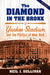 The Diamond in the Bronx: Yankee Stadium and the Politics of New York by Neil J. Sullivan