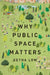 Why Public Space Matters by Setha Low