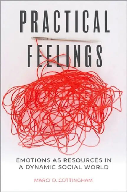 Practical Feelings: Emotions as Resources in a Dynamic Social World by Marci D. Cottingham
